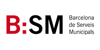 logo-bsm